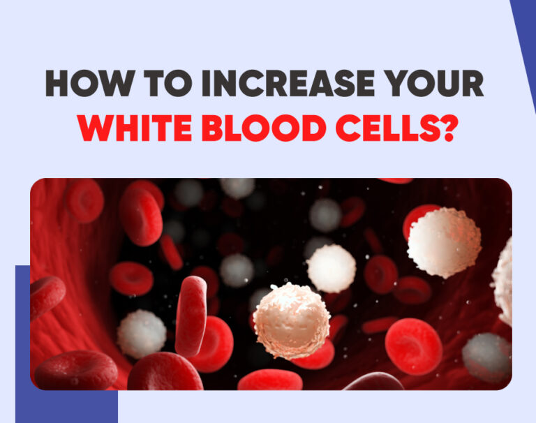 How To Increase Your White Blood Cells 