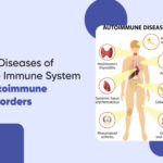 10 Diseases of the Immune System | Autoimmune Disorders