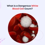 What is a Dangerous White Blood Cell Count?