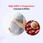 High WBC in Pregnancy