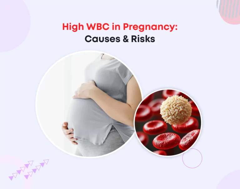 High WBC in Pregnancy